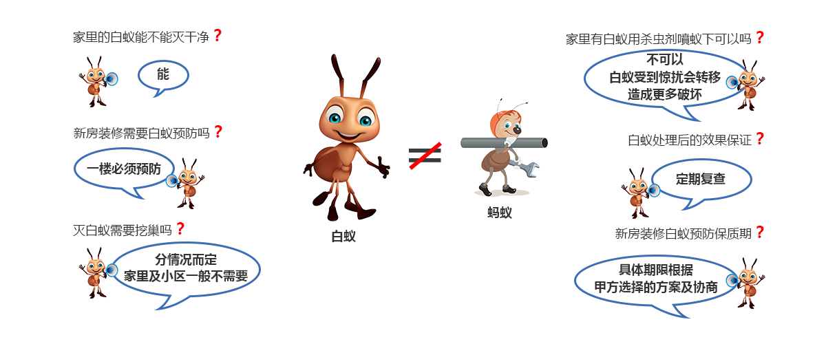白蟻綜合防治服務